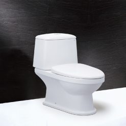 Bồn cầu 2 khối Caesar CD1530