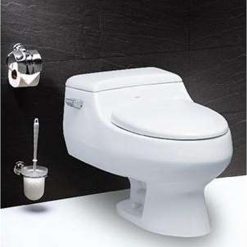 Bồn cầu 1 khối Caesar C1358